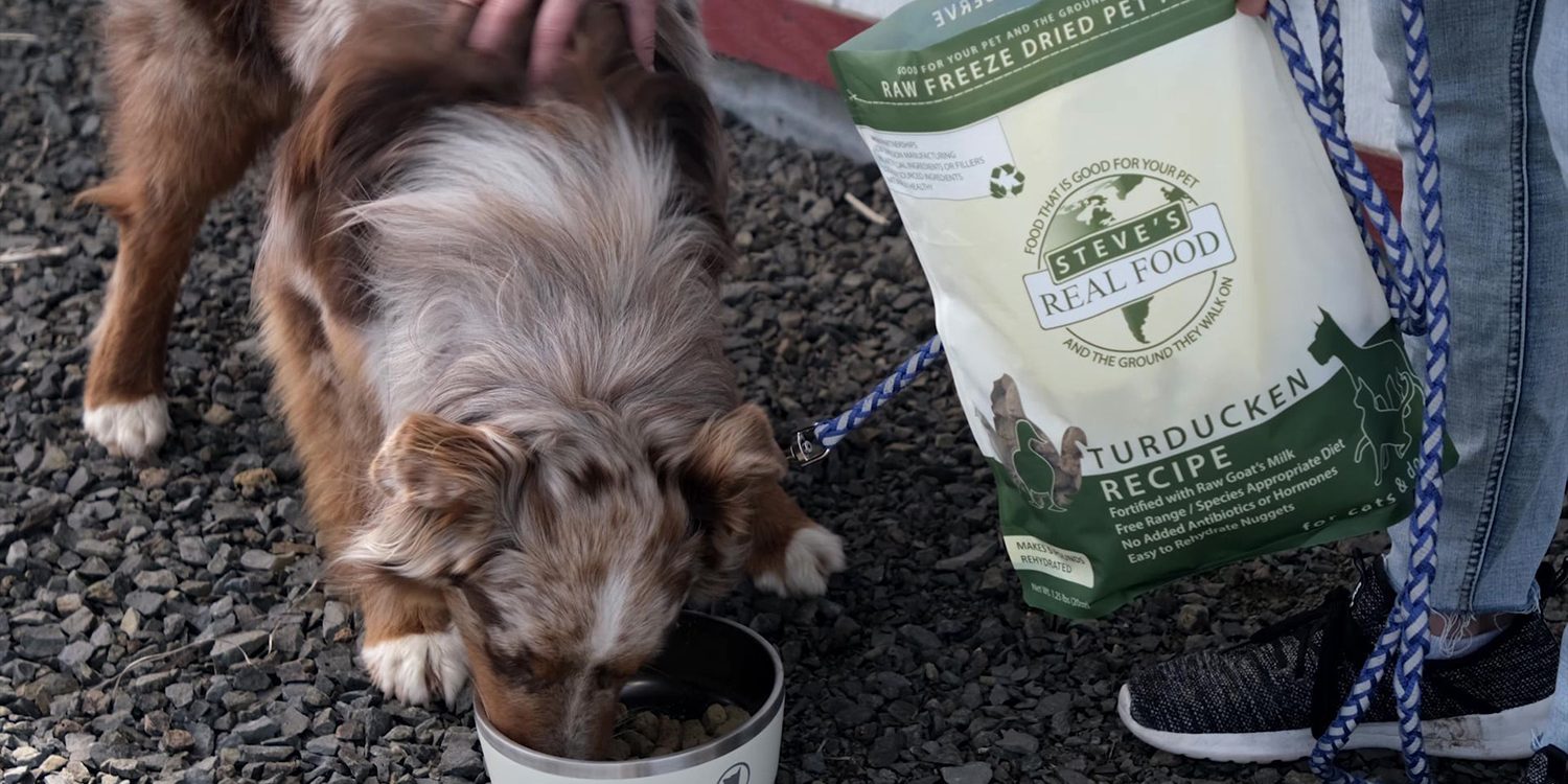 Pet food: between well-being and responsibility